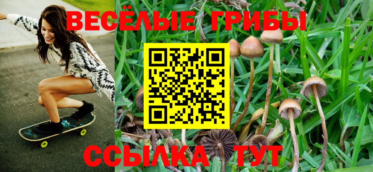Псилоцибиновые грибы мухоморы Шахты